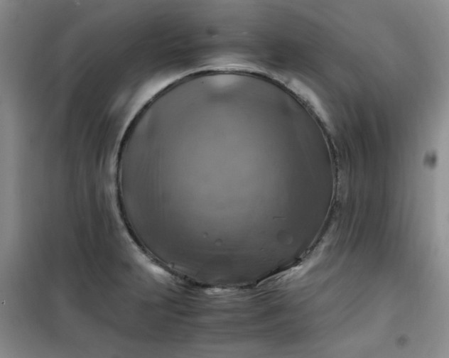 X0000100951231200807081210