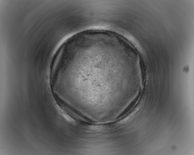 X0000100951232200807081210