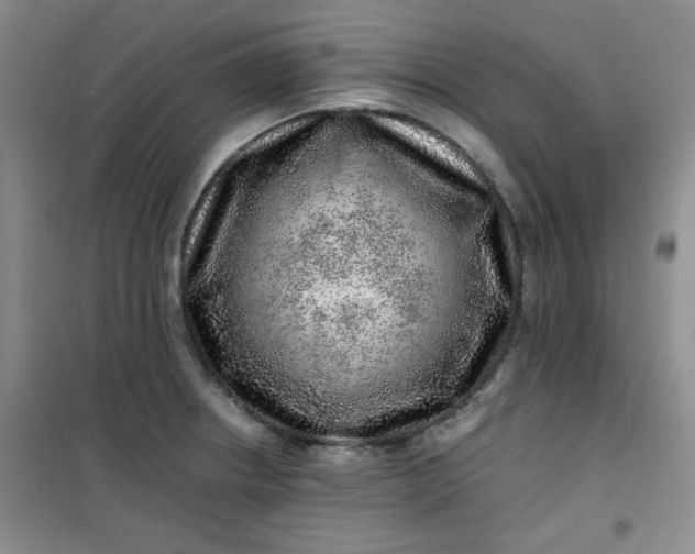 X0000100951234200807081210