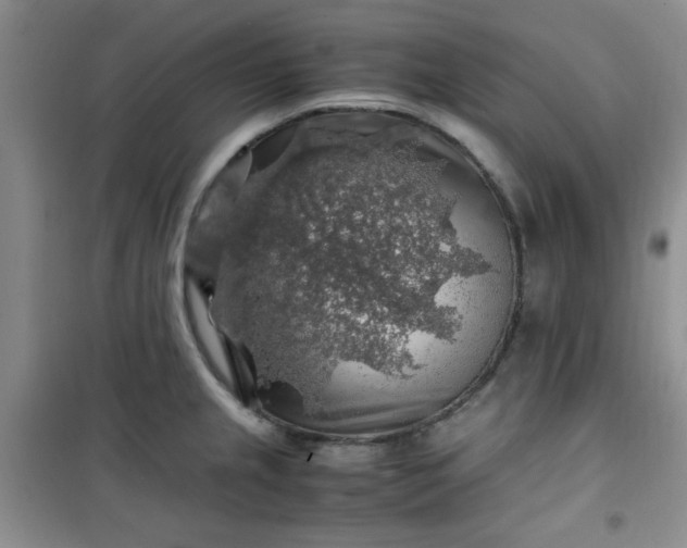 X0000100951237200807081211