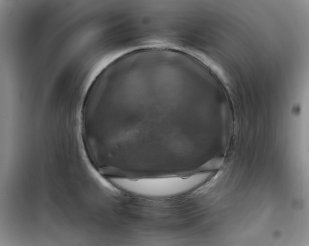 X0000100951239200807081211