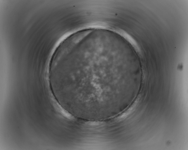 X0000100951240200807081211