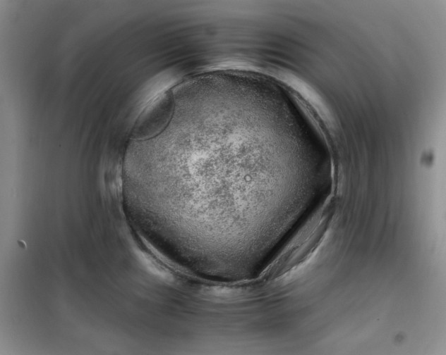 X0000100951241200807081211