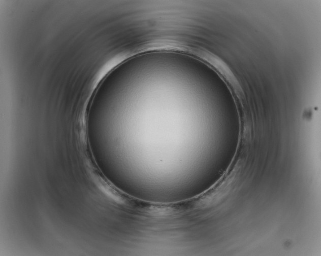 X0000100951242200807081211