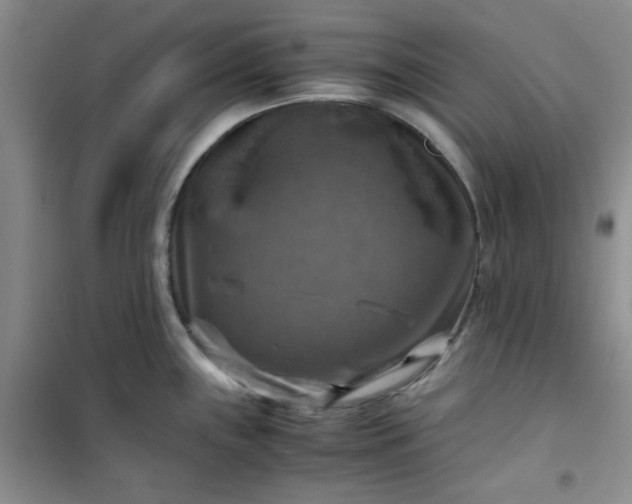 X0000100951243200807081211