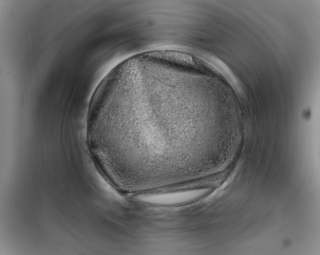 X0000100951244200807081211