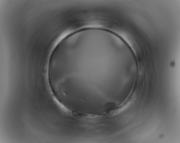 X0000100951245200807081211