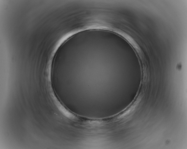 X0000100951246200807081211