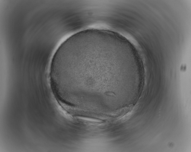 X0000100951248200807081211