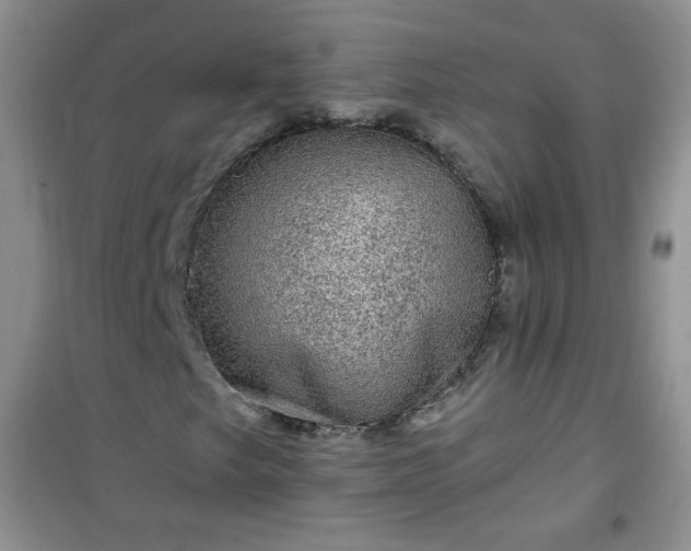 X0000100951249200807081210