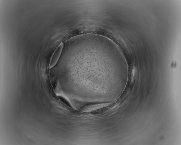 X0000100951250200807081210