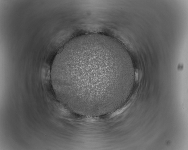 X0000100951251200807081210