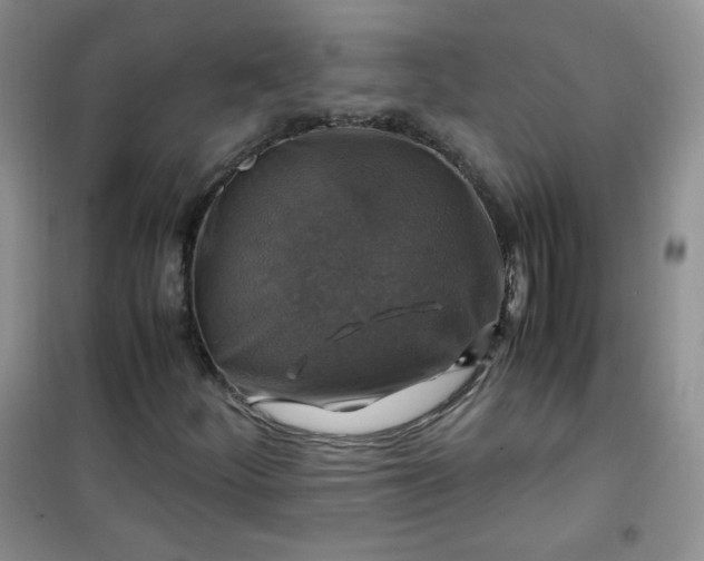 X0000100951252200807081210