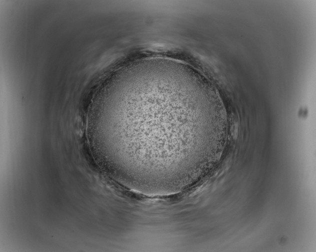 X0000100951253200807081210