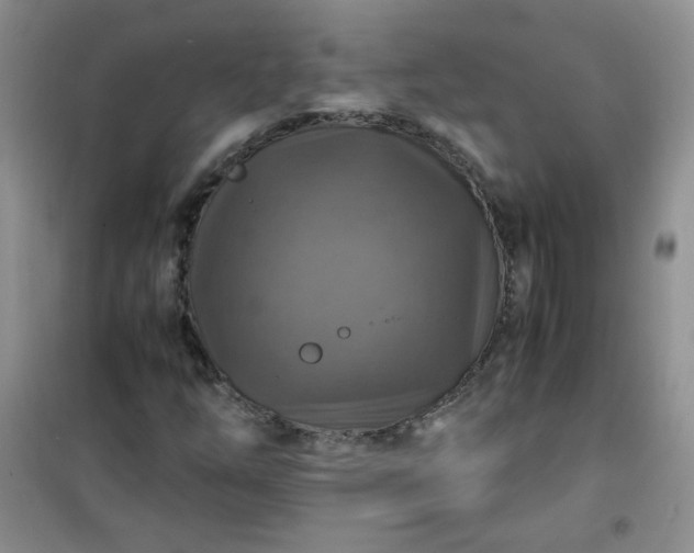 X0000100951254200807081210