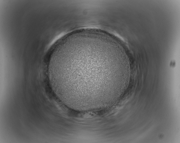 X0000100951255200807081210