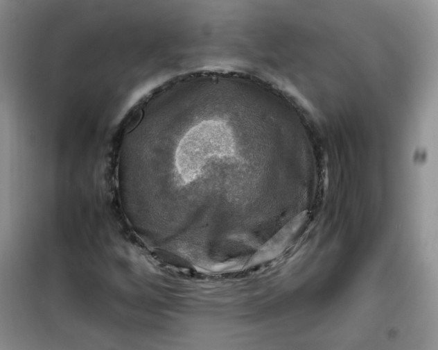 X0000100951256200807081210