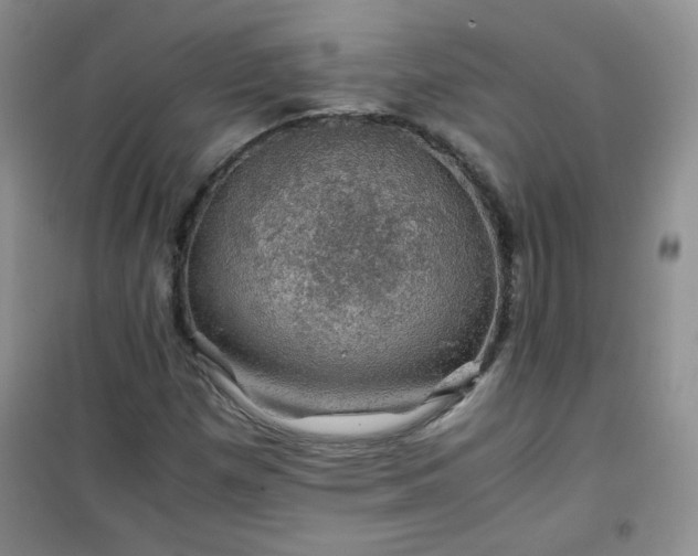 X0000100951257200807081210