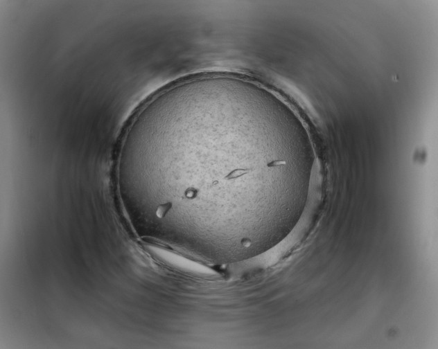 X0000100951260200807081210