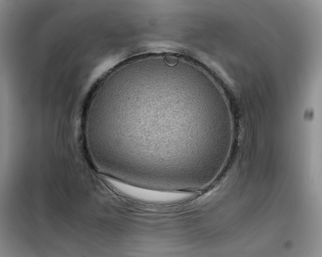 X0000100951261200807081210