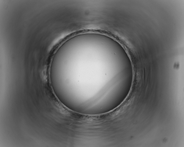 X0000100951262200807081210