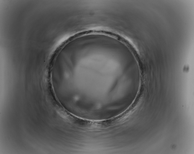 X0000100951263200807081210