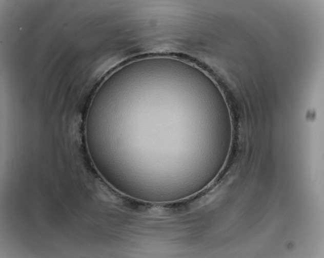 X0000100951265200807081210