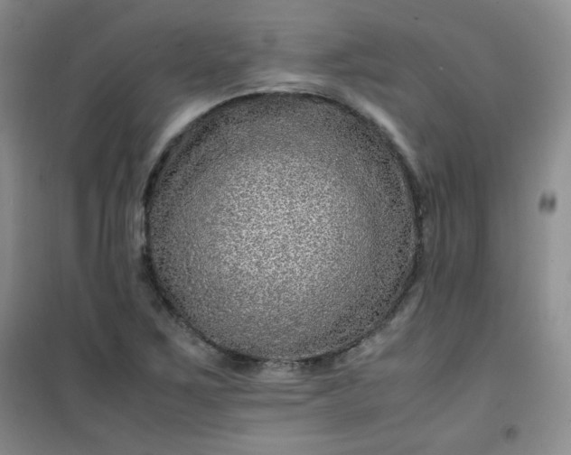 X0000100951267200807081210