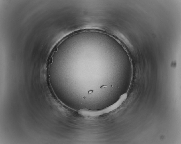 X0000100951268200807081210