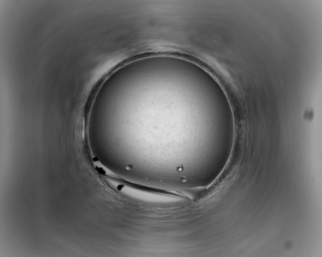 X0000100951269200807081210