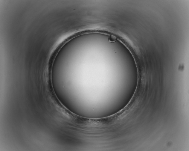 X0000100951270200807081210