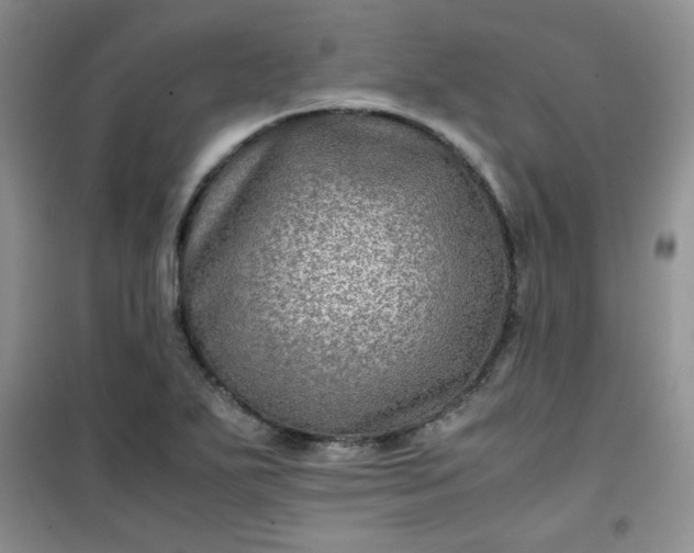 X0000100951271200807081210