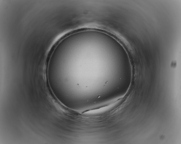 X0000100951272200807081210