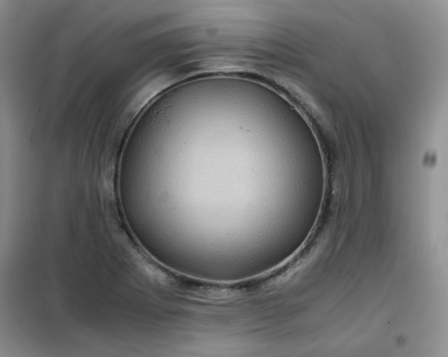 X0000100951273200807081210