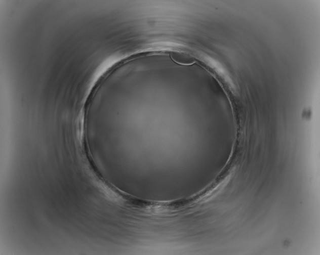 X0000100951275200807081209