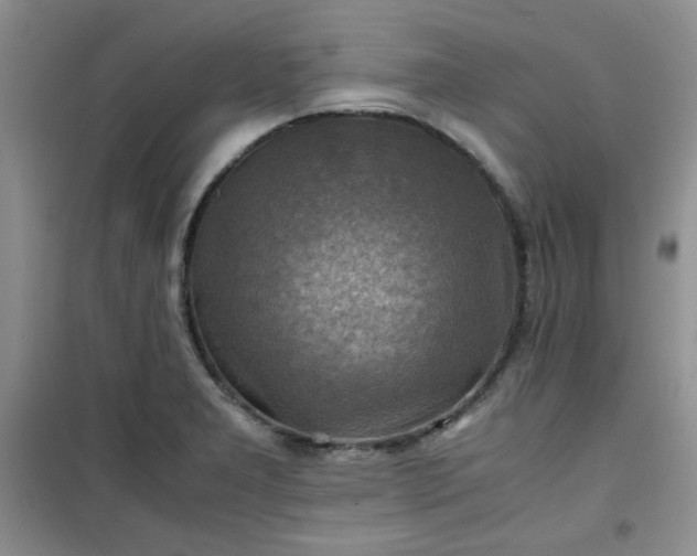 X0000100951277200807081209