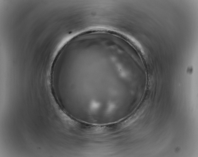 X0000100951279200807081209