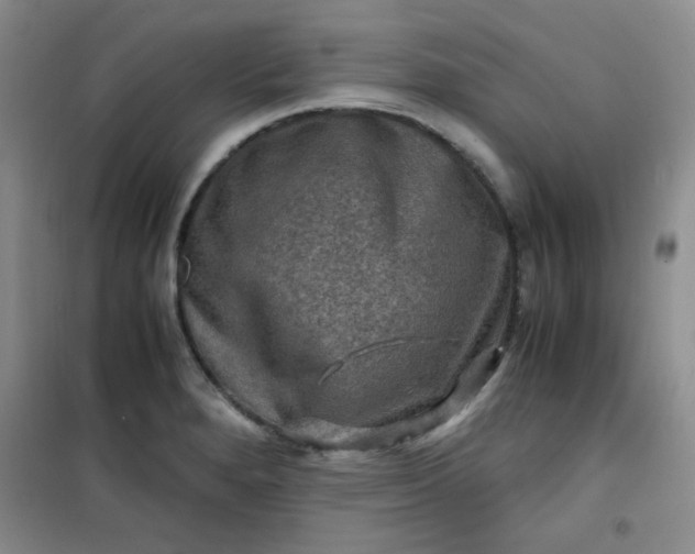 X0000100951280200807081209