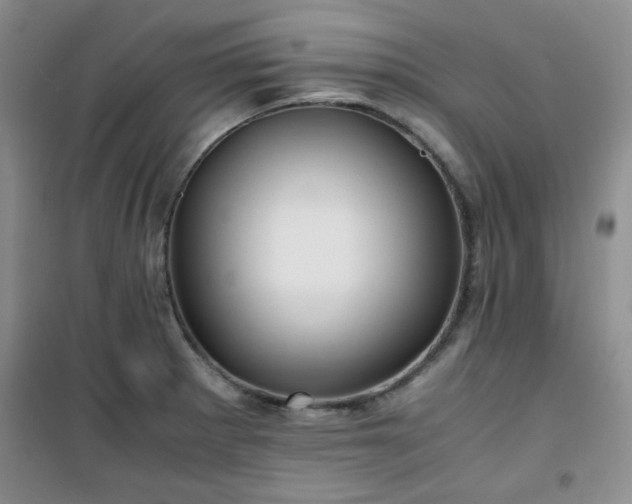 X0000100951281200807081209