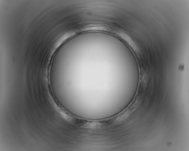 X0000100951282200807081209