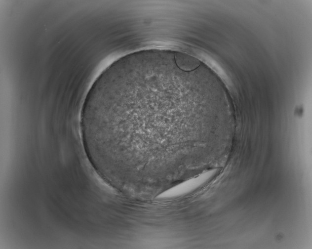 X0000100951283200807081209