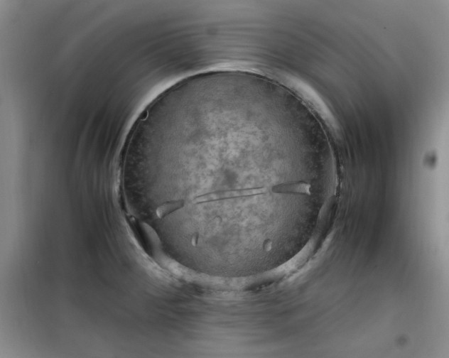 X0000100951284200807081209