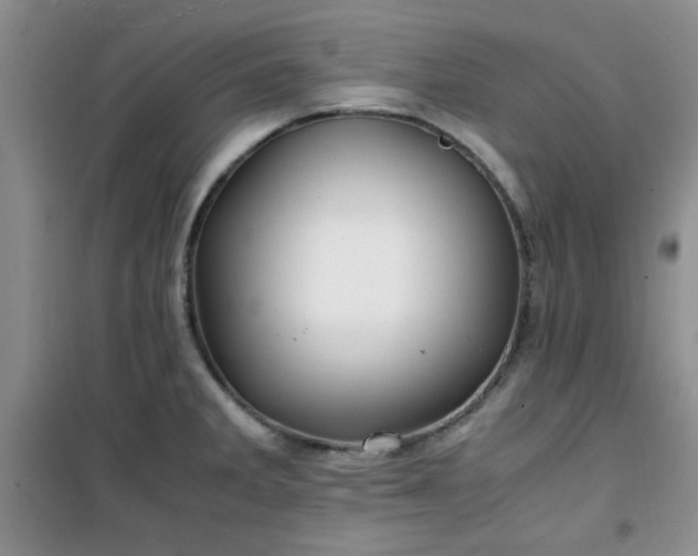 X0000100951285200807081209