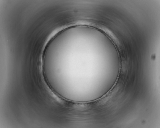 X0000100951286200807081209