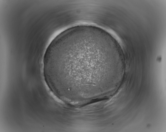 X0000100951287200807081209