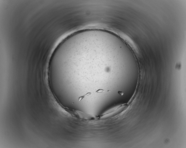 X0000100951288200807081209