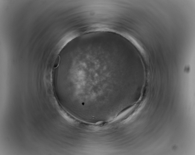 X0000100951289200807081209