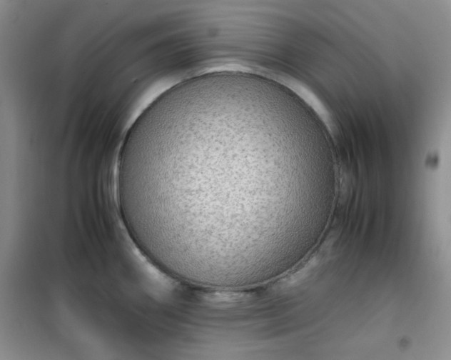 X0000100951290200807081209