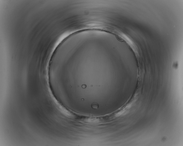 X0000100951291200807081209