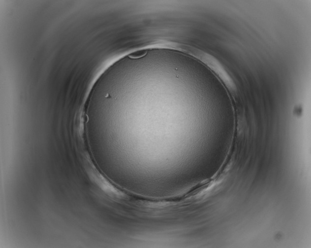 X0000100951292200807081209